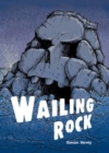 Image for Pocket Chillers Year 4 Horror Fiction: Book 2 - Wailing Rock