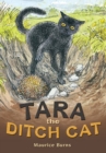 Image for POCKET TALES YEAR 4 TARA THE DITCH CAT