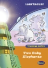 Image for Lighthouse Year 1 Orange Two Baby Elephants Teachers Notes
