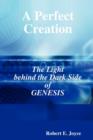 Image for A Perfect Creation: The Light Behind the Dark Side of GENESIS