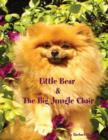 Image for Little Bear and the Big Jungle Chair