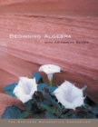 Image for Beginning Algebra with Arithmetic Review