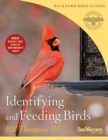 Image for Identifying And Feeding Birds