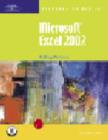 Image for Microsoft Excel 2002 : Introductory