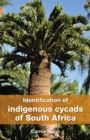 Image for Identification of indigenous cycads of South Africa