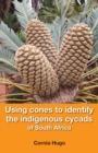 Image for Using cones to identify the indigenous cycads of South Africa