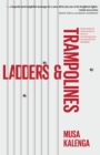 Image for Ladders &amp; Trampolines: Anecdotes And Observations From A Contemporary Young African Marketer