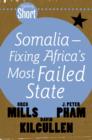 Image for Tafelberg Short: Somalia - Fixing Africa&#39;s Most Failed State