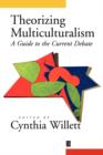 Image for Theorizing Multiculturalism