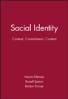 Image for Social identity  : context, commitment, content