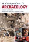 Image for Companion to Archaeology