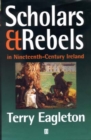 Image for Scholars &amp; rebels in nineteenth-century Ireland