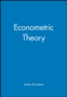 Image for Econometric Theory