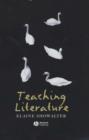Image for Teaching Literature