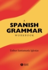 Image for A Spanish Grammar Workbook