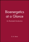 Image for Bioenergetics at a Glance
