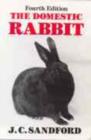 Image for The Domestic Rabbit