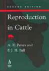Image for Reproduction in Cattle