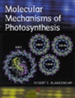 Image for Molecular Mechanisms of Photosynthesis