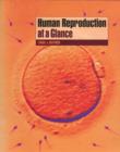 Image for Human Reproduction at a Glance