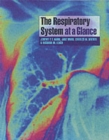 Image for The Respiratory System at a Glance