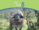 Image for Buffalo : The Big 5 and other wild animals