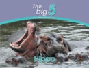 Image for Hippo : The Big 5 and other wild animals