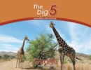 Image for Giraffe : The Big 5 and other wild animals