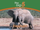 Image for Elephant : The Big 5 and other wild animals