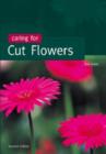 Image for Caring for cut flowers