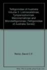 Image for The Tettigonidae of Australia : Volume 3:  Listroscelidinae, Tympanophorinae, Meconematinae and Micro