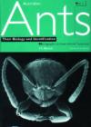 Image for Australian Ants : Their Biology and Identification