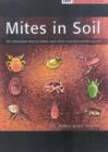 Image for Mites in Soil : an Interactive Key to Mites and Other Soil Microarthropods