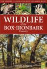 Image for Wildlife of the Box-Ironbark Country