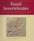 Image for Fossil Invertebrates