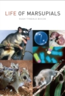 Image for Life of Marsupials