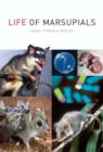 Image for Life of marsupials