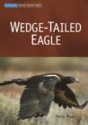 Image for Wedge-tailed eagle