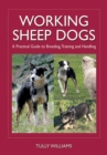 Image for Working Sheep Dogs : A Practical Guide to Breeding, Training and Handling