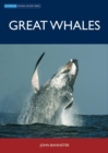 Image for Great whales