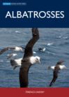 Image for Albatrosses