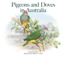Image for Pigeons and Doves in Australia