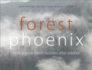 Image for Forest Phoenix : How a Great Forest Recovers After Wildfire