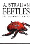 Image for Australian Beetles