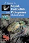 Image for Guide to Squid, Cuttlefish and Octopuses of Australasia