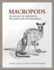 Image for Macropods: The Biology of Kangaroos, Wallabies and Rat-kangaroos