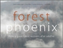 Image for Forest Phoenix: How a Great Forest Recovers After Wildfire