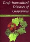 Image for Graft-transmitted Diseases of Grapevines