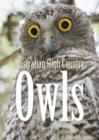 Image for Australian High Country Owls