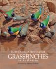 Image for Grassfinches in Australia